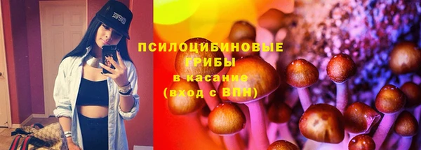 соль курить ск Алзамай