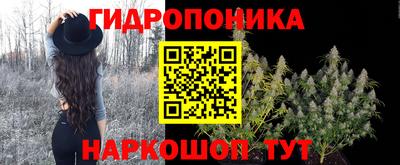 гидропоника Партизанск