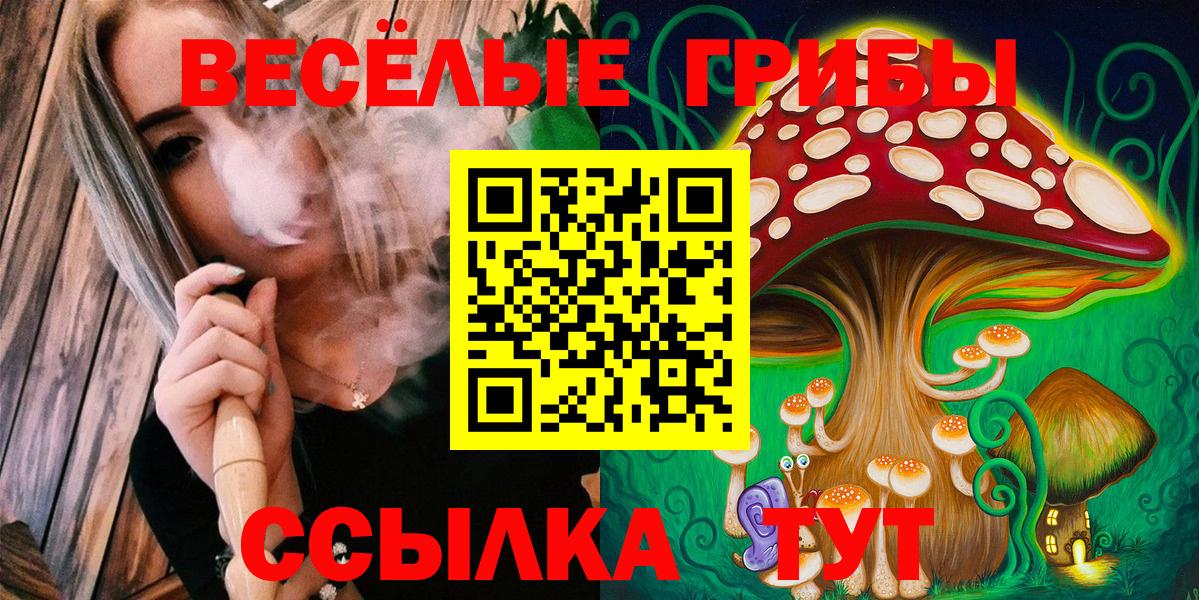 Тосно  Псилоцибиновые грибы мухоморы  Вход с VPN 