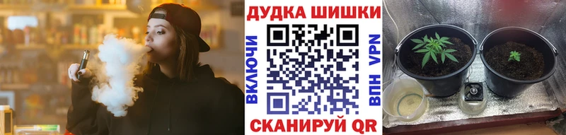 Бошки марихуана сатива Тосно